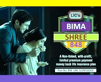 LIC NEW BIMA SHREE PLAN 848