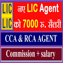 LIC CCA Agent salary